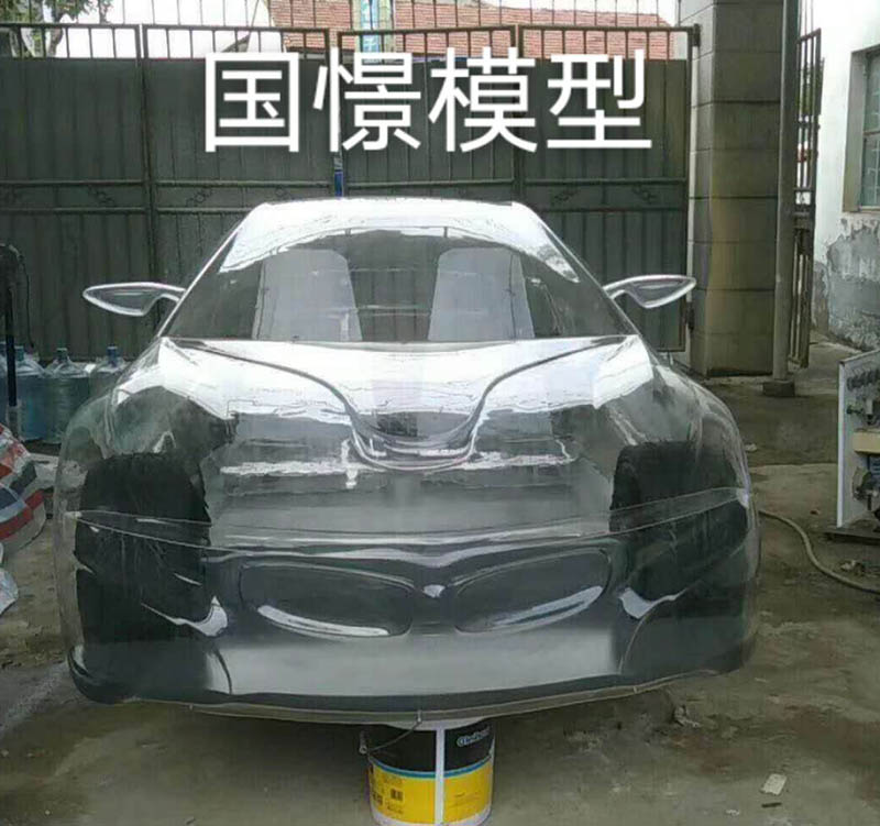 砚山县透明车模型